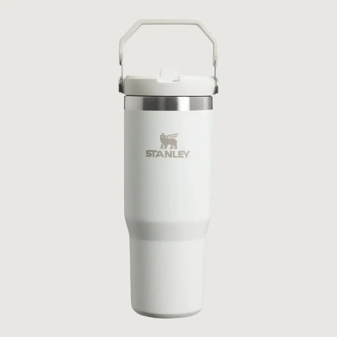 Stanley IceFlow™ Flip Straw Tumbler - Frost