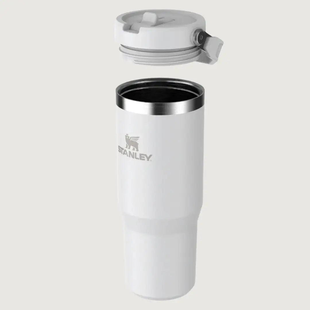 Stanley IceFlow™ Flip Straw Tumbler - Frost