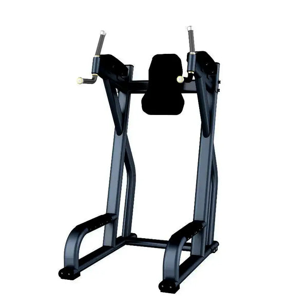 Pro fitness dip station sale