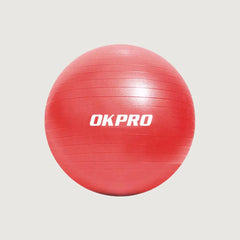 OK Pro Anti-Burst Gym Ball - 55 cm