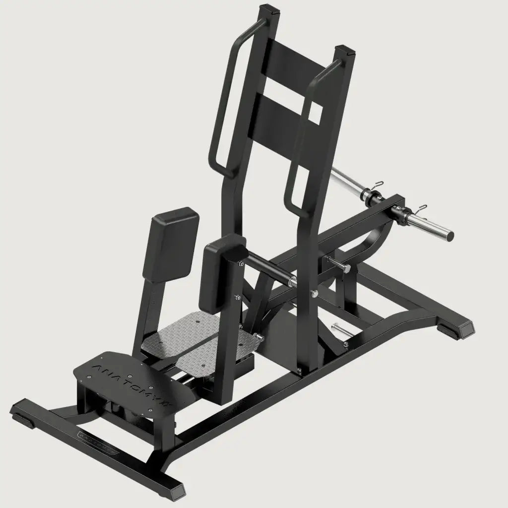 Anatomy  Standing Abductor