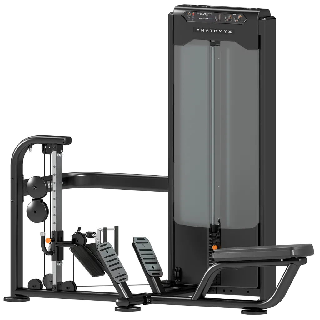 Anatomy Seated Cable Row/Multi Row