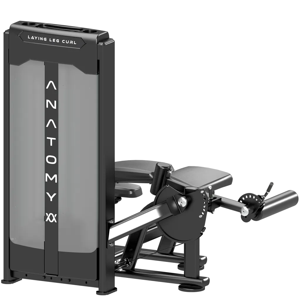 Anatomy Pin Loaded Laying Leg Curl