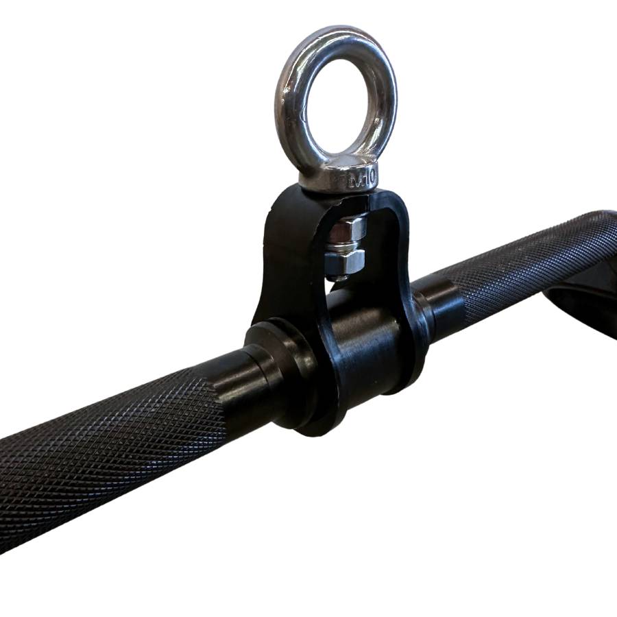 Revolving D Handle Functional Lat Bar