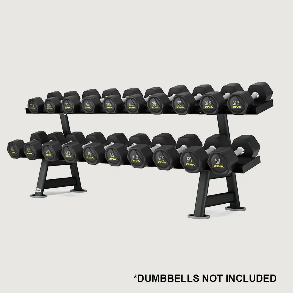 Ziva XP 2-Tier Hex Dumbbell Rack